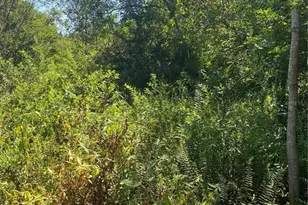 0000 23rd Ave Rd, Ocala, FL 34473 - Photo 1