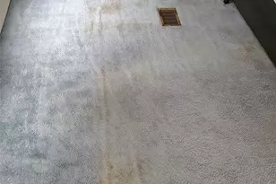 11 Citrus Ridge Dr, Davenport, FL 33837 - Photo 33