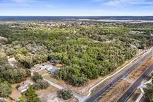 5250 Little Green Ln, Dade City, FL 33523 - Photo 47