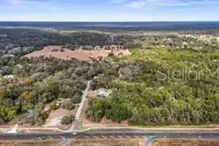 5250 Little Green Ln, Dade City, FL 33523 - Photo 43