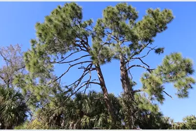 Lot 17 New London Street, North Port, FL 34288 - Photo 13