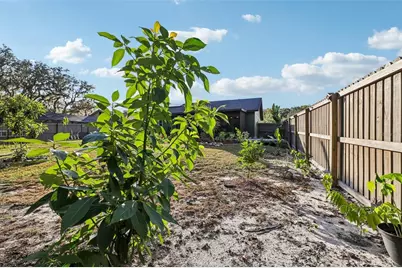 5016 Swallow Drive, Land O Lakes, FL 34639 - Photo 49