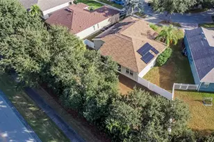 11038 Holly Cone Dr, Riverview, FL 33569 - Photo 63