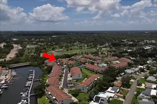 637 Drake Ln N, Dunedin, FL 34698 - Photo 45