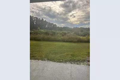 32253 Turtle Grace Loop, Wesley Chapel, FL 33545 - Photo 3