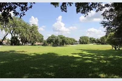 5324 Cottonwood Tree Circle, Valrico, FL 33596 - Photo 27