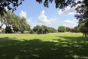 5324 Cottonwood Tree Cir, Valrico, FL 33596 - Photo 27