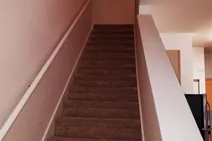 10855 Dragonwood Dr, Tampa, FL 33647 - Photo 9