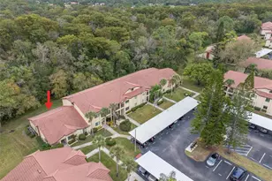 1801 E Lake Rd, Palm Harbor, FL 34685 - Photo 47