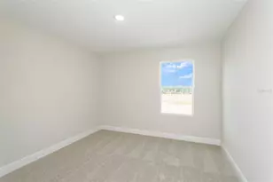 33457 Twilight Sea Place, Dade City, FL 33525 - Photo 23