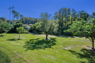 36750 US Hwy 19 N, Palm Harbor, FL 34684 - Photo 49