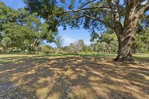 2506 Hawk Griffin Rd, Plant City, FL 33565 - Photo 45