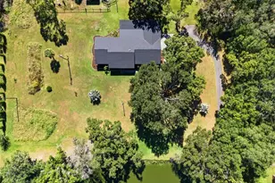 2506 Hawk Griffin Rd, Plant City, FL 33565 - Photo 49