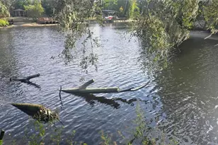 3918 Alafia Blvd, Brandon, FL 33511 - Photo 15