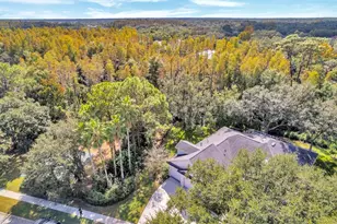 10218 Shadow Branch Dr, Tampa, FL 33647 - Photo 5