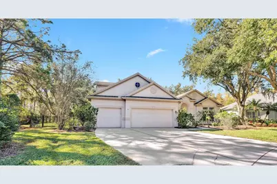 10218 Shadow Branch Drive, Tampa, FL 33647 - Photo 3