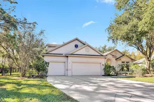 10218 Shadow Branch Dr, Tampa, FL 33647 - Photo 3