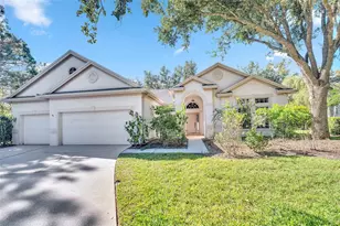10218 Shadow Branch Dr, Tampa, FL 33647 - Photo 1