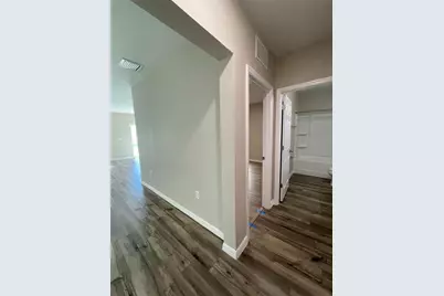 34152 Verbena St, Wesley Chapel, FL 33545 - Photo 9