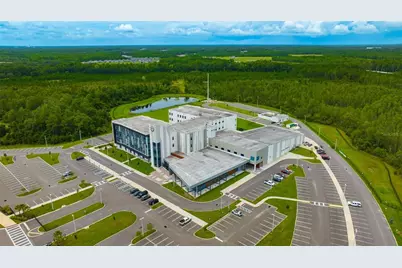 17581 Nectar Flume Drive, Land O Lakes, FL 34638 - Photo 53