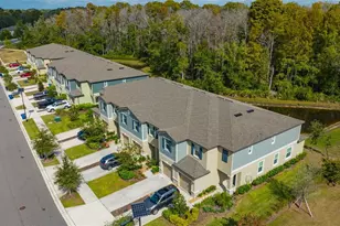 17581 Nectar Flume Dr, Land O Lakes, FL 34638 - Photo 41