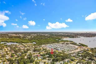 2824 47th St S, Gulfport, FL 33711 - Photo 57