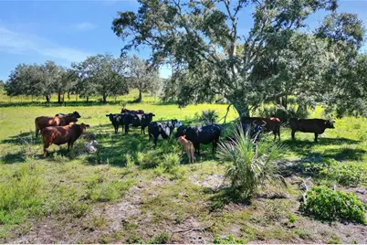 46891 Farabee Road, Punta Gorda, FL 33982 - Photo 23