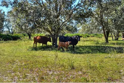 46891 Farabee Road, Punta Gorda, FL 33982 - Photo 17