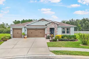 31737 Fairhill Dr, Wesley Chapel, FL 33543 - Photo 1