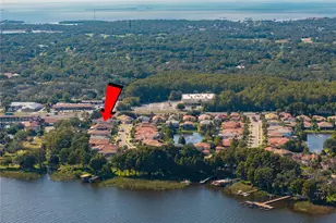 2550 Grand Lakeside Dr, Palm Harbor, FL 34684 - Photo 61