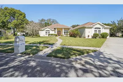 13750 Dowling Lane, Odessa, FL 33556 - Photo 1