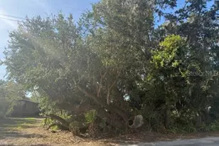 4905 Merrin Rd, Plant City, FL 33565 - Photo 19