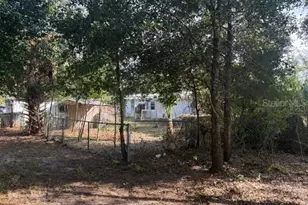 4905 Merrin Rd, Plant City, FL 33565 - Photo 29