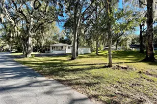 3786 Cr 405N, Lake Panasoffkee, FL 33538 - Photo 3