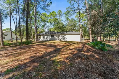 27944 Green Willow Run, Wesley Chapel, FL 33544 - Photo 37