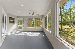 27944 Green Willow Run, Wesley Chapel, FL 33544 - Photo 31