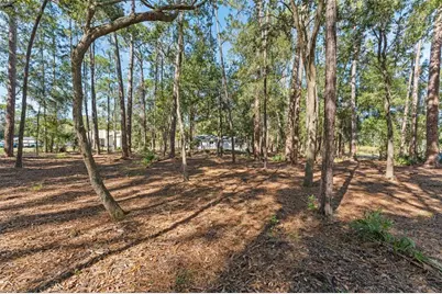 27944 Green Willow Run, Wesley Chapel, FL 33544 - Photo 41