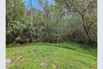 16309 Fairford Palms Court, Tampa, FL 33647 - Photo 45