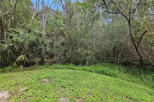 16309 Fairford Palms Ct, Tampa, FL 33647 - Photo 45