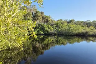 18909 Aripeka Rd, Hudson, FL 34667 - Photo 3