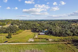 37440 Phelps Rd, Zephyrhills, FL 33541 - Photo 77