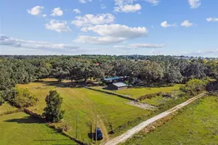 37440 Phelps Rd, Zephyrhills, FL 33541 - Photo 73