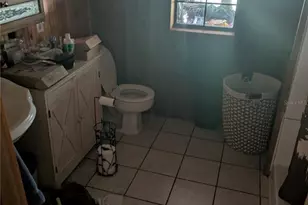 2833 SW Wilson Springs Rd, Fort White, FL 32038 - Photo 9