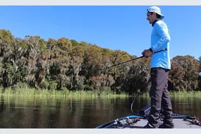 75 N Canal Drive, Palm Harbor, FL 34684 - Photo 49