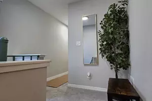 10213 N Ojus Dr, Tampa, FL 33617 - Photo 15