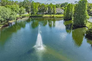 3616 Pine Knot Dr, Valrico, FL 33596 - Photo 63