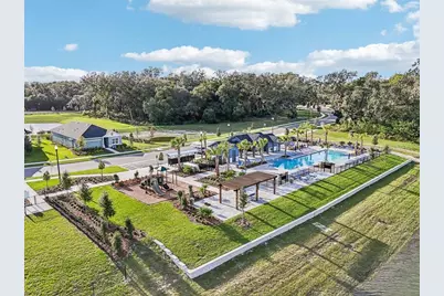 6008 Sacred Oak Avenue, Mount Dora, FL 32757 - Photo 5