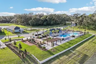 6008 Sacred Oak Ave, Mount Dora, FL 32757 - Photo 5