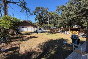 10410 Sassafras St, Tampa, FL 33617 - Photo 15