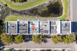 4626 Legacy Park Dr, Tampa, FL 33611 - Photo 35